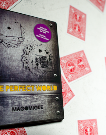 The Perfect World (DVD and Deck) Mago Migue and Luis De Matos