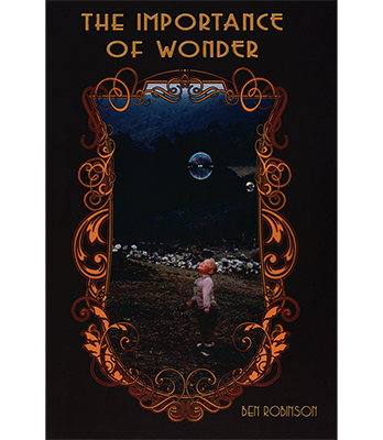 The Importance of Wonder by Ben Robinson - Book