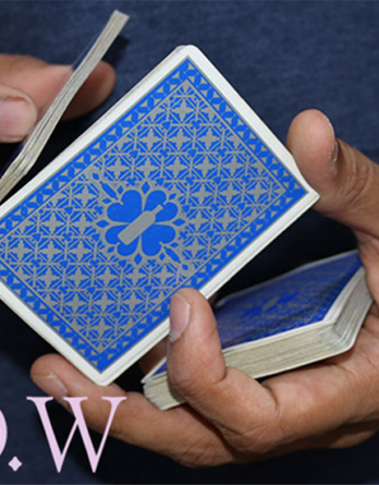 Magic Encarta Presents F.L.O.W by Vivek Singhi - Video DOWNLOAD
