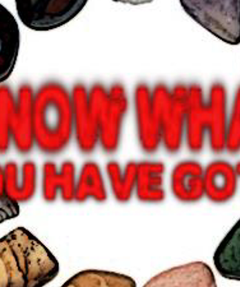 I know what you have got by Dan Alex eBook