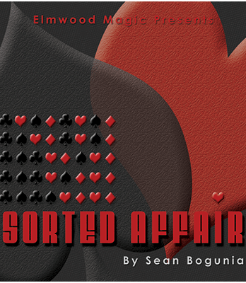 Sorted Affair (2013) by Sean Bogunia