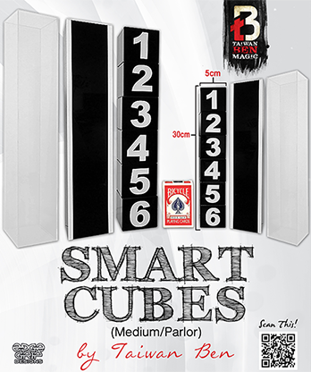 Smart Cubes (Medium / Parlor) by Taiwan Ben - Trick