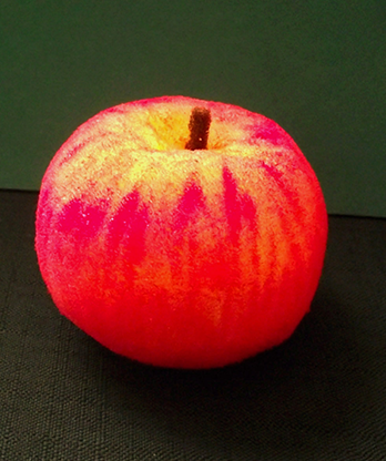 Sponge Apple by Alexander May - Trick