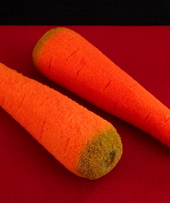 Sponge Carrots (2 pieces) by Alexander May - Trick