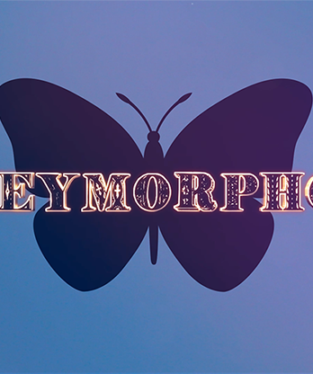 Moneymorphosis (Gimmick and Online Instructions) by Dallas Fueston and Jason Bird - Trick
