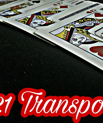 421 Transport by David Luu video DOWNLOAD