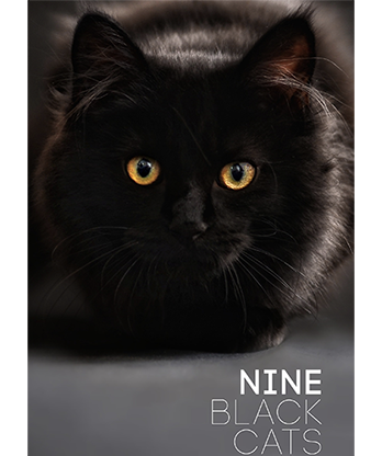 Nine Black Cats by Neema Atri eBook DOWNLOAD