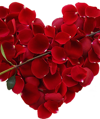 Valentine Intimacy Touch by Dynamite video DOWNLOAD