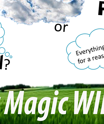 Fate or Free Will? by Magic Willy (Luigi Boscia) video DOWNLOAD