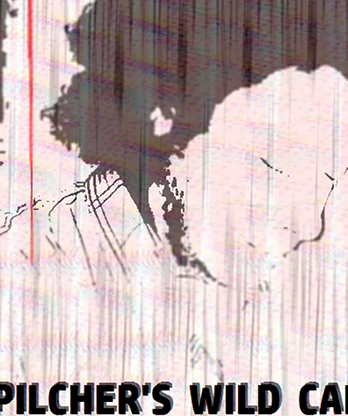 Pilcher's Wild Card by Matt Pilcher video DOWNLOAD