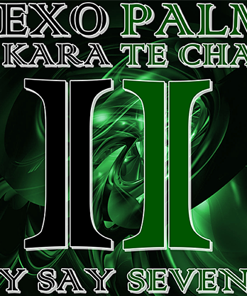 EXOPALM THE KARATE CHANGE by SaysevenT video DOWNLOAD