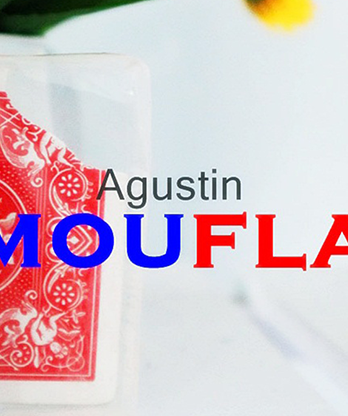 Camouflage by Agustin video DOWNLOAD