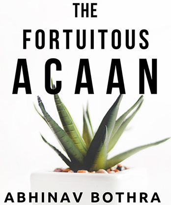 The Fortuitous ACAAN by Abhinav Bothra Mixed Media DOWNLOAD
