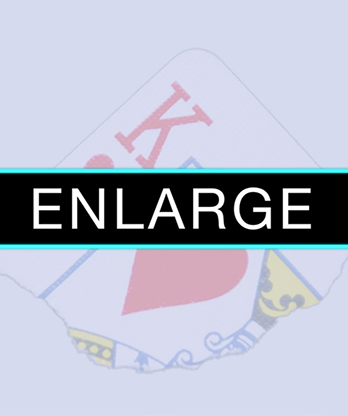 Enlarge (DVD and Gimmicks) by SansMinds - DVD