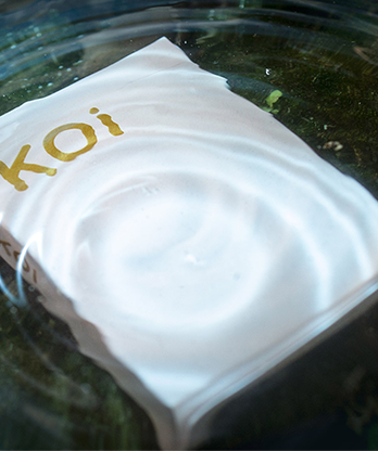 Koi V2 Playing Cards by Byron Leung