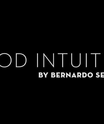 Good Intuition by Bernardo Sedlacek video DOWNLOAD