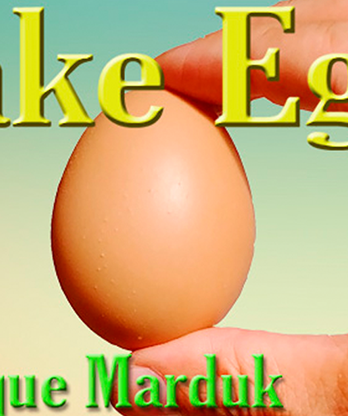 Fake Egg Brown by Quique Marduk - Trick