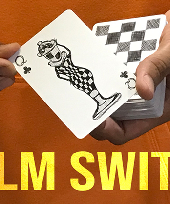 Magic Encarta Presents Palm Switch & Palm Control by Vivek Singhi