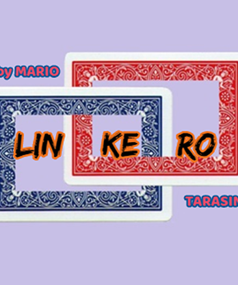 Linkero by Mario Tarasini video DOWNLOAD