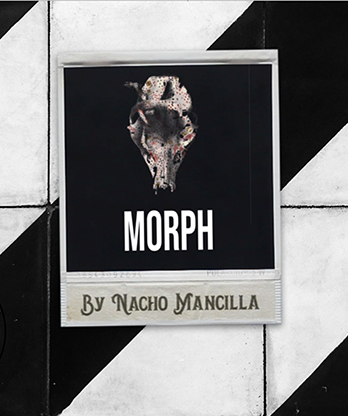 The Vault - MORPH by Nacho Mancilla Mixed Media DOWNLOAD