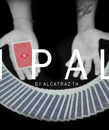 TH Palm by Alcatrazth video DOWNLOAD