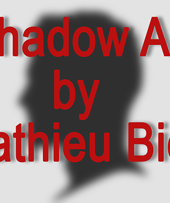 Shadow Art (Bat Man) by Mathieu Bich - Trick