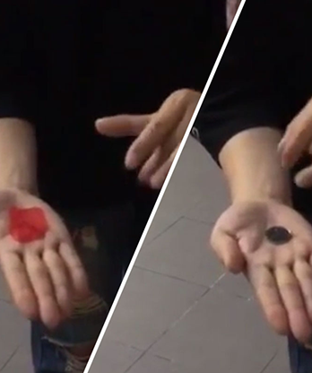 PETAL TO COIN by JL Magic - Trick