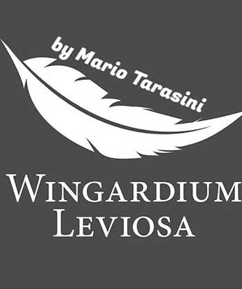Wingardium Leviosa by Mario Tarasini video DOWNLOAD