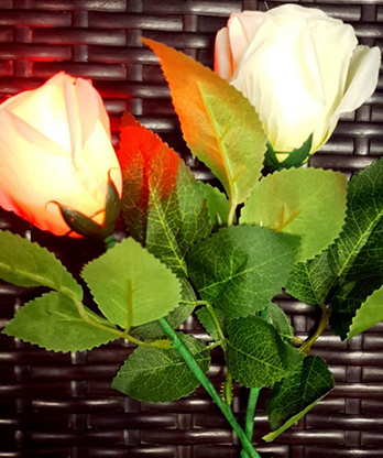 Rose Light set RED by JL Magic - Trick