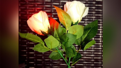 Rose Light set RED by JL Magic - Trick