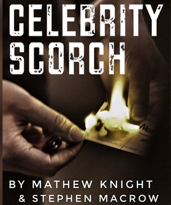 Celebrity Scorch (Downey Jr & Beckham) by Mathew Knight and Stephen Macrow