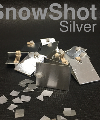 SnowShot SILVER (10 ct.) by Victor Voitko (Gimmick and Online Instructions) - Trick