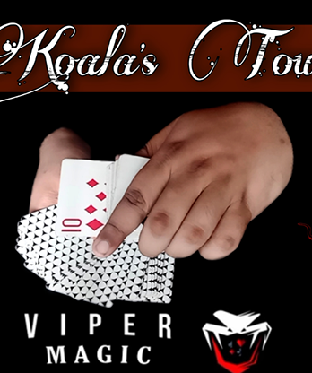 Koala's Touch by Viper Magic video DOWNLOAD