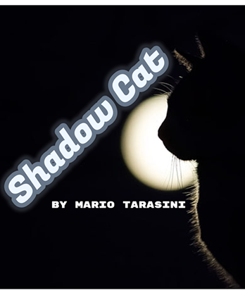 Shadow Cat by Mario Tarasini video DOWNLOAD