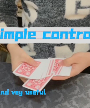Simple Control by Dingding video DOWNLOAD