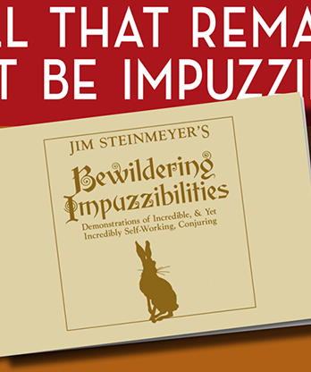 Bewildering Impuzzibilities by Jim Steinmeyer - Book