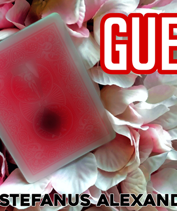 GUESS by Stefanus Alexander video DOWNLOAD