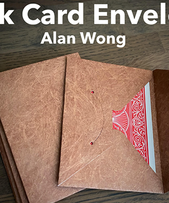 Tyvek Card Envelopes 10 pk. BROWN by Alan Wong- Trick