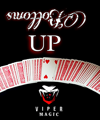 Bottoms UP by Viper Magic video DOWNLOAD