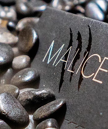 Malice (Gimmicks and Online Instructions) by Xavior Spade - Trick