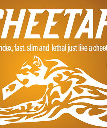 Chetah (Gimmicks and Online Instructions) by Berman Dabat and Michel - Trick