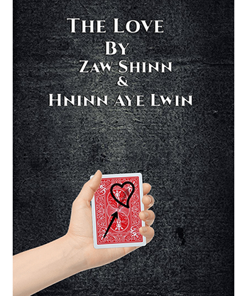 The Love By Zaw Shinn &Hninn Aye Lwinvideo DOWNLOAD