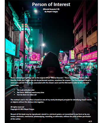 Person of Interest by Boyet Vargas ebook DOWNLOAD