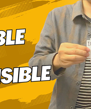 The Vault - Visible or Invisible by Dingding video DOWNLOAD