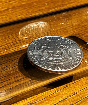 REAL COIN IN BOTTLE (HALF) by Bacon Magic - Trick