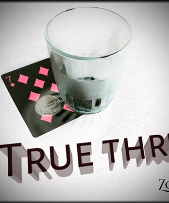 True Thru by Zoen's video DOWNLOAD