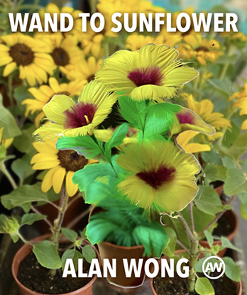 WAND TO SUNFLOWER LARGE by Alan Wong  - Trick