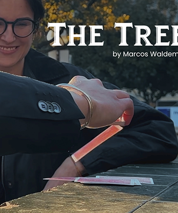 THE TREE by Marcos Waldemar & Invisible Compass video DOWNLOAD