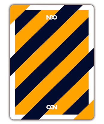 Broken Borders 2020 Playing Cards by The New Deck Order