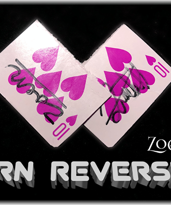 Torn Reversed by Zoen's video DOWNLOAD